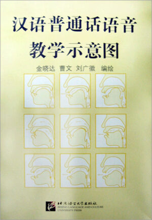 Mandarin Chinese Phonetics Teaching Diagram